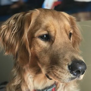 Meet your Posher, Cole